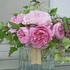 Meet your Posher, Eileen